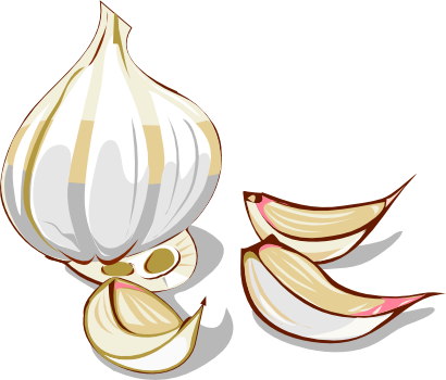 Download free garlic icon